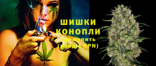 альфа пвп Заводоуковск