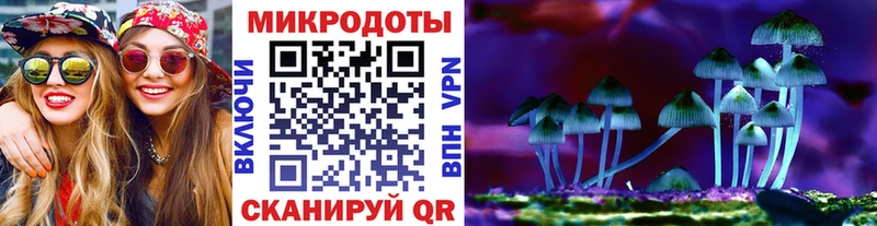Галлюциногенные грибы Psilocybine cubensis  Купить где  Горбатов 